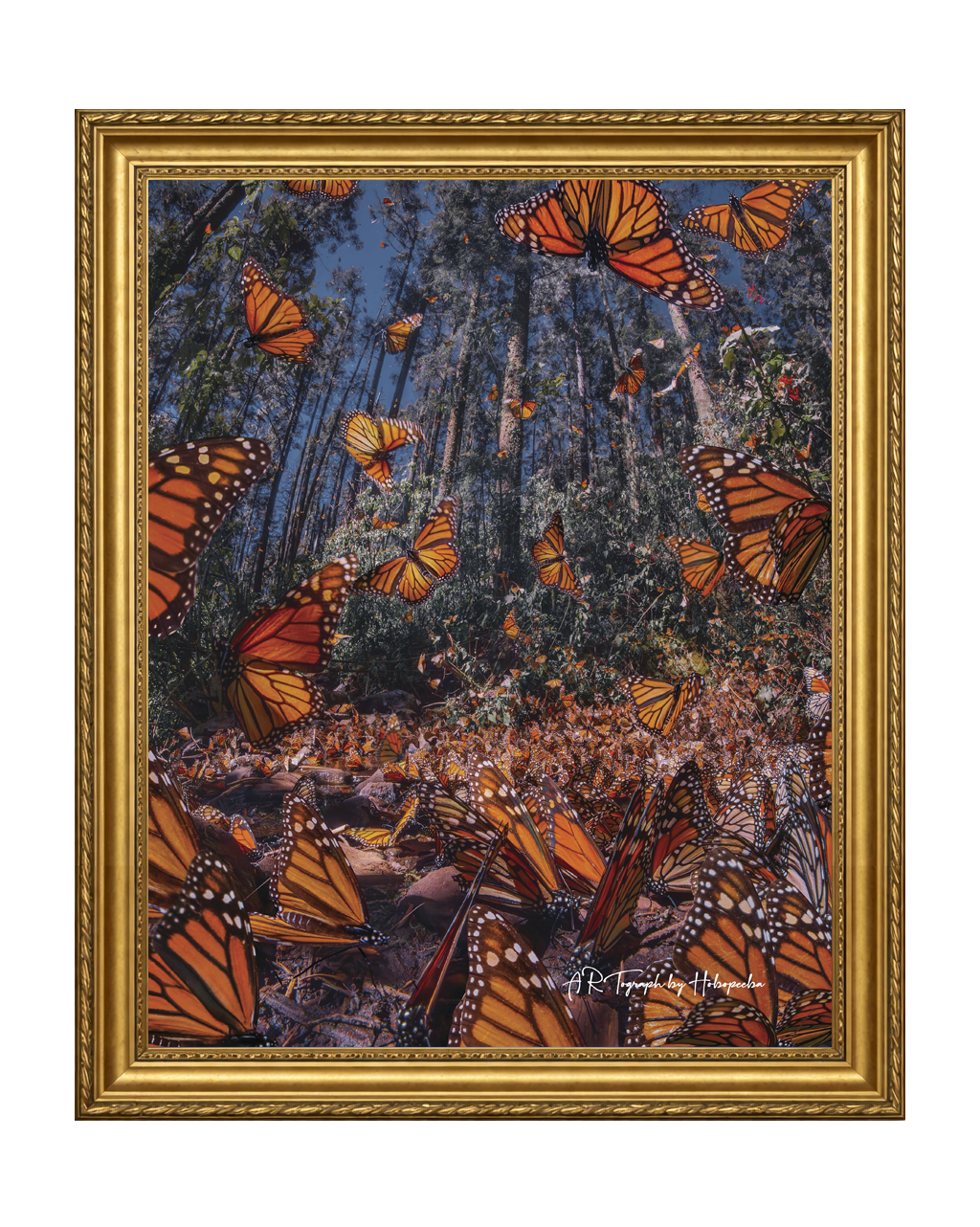 Butterflies T-Shirt